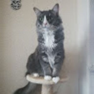 Meet your Posher, Trinity